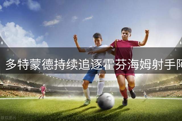 多特蒙德持续追逐霍芬海姆射手阿斯拉尼 交易或迎突破性进展